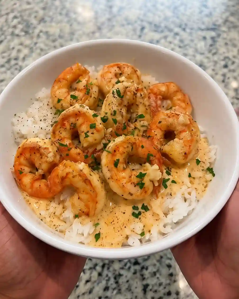 Creamy Garlic Butter Shrimp over Rice