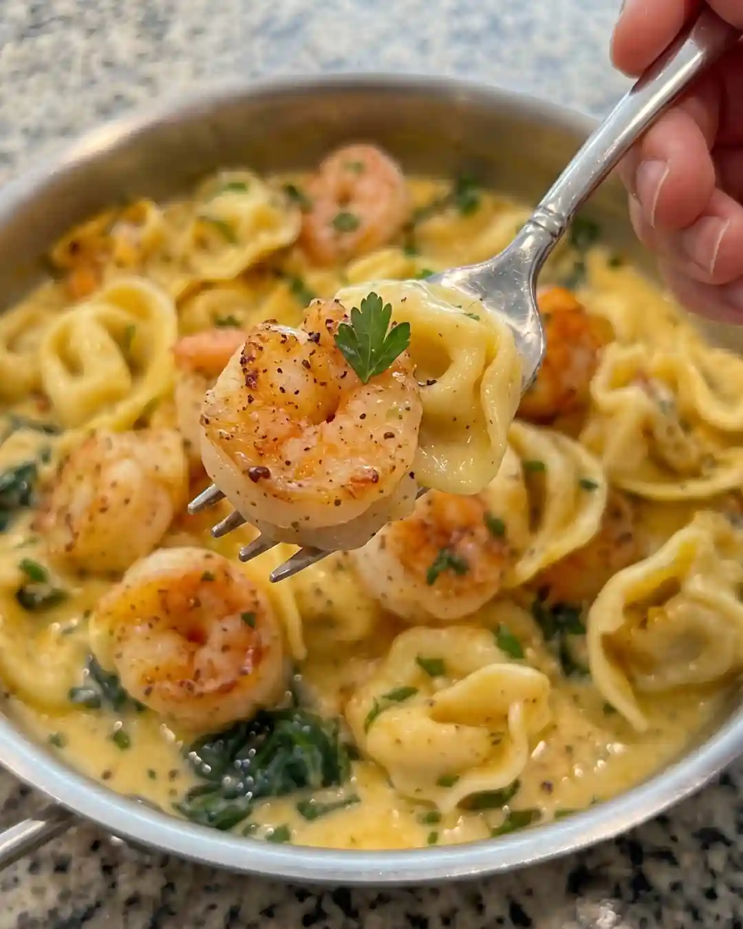 Creamy Garlic Shrimp Tortellini