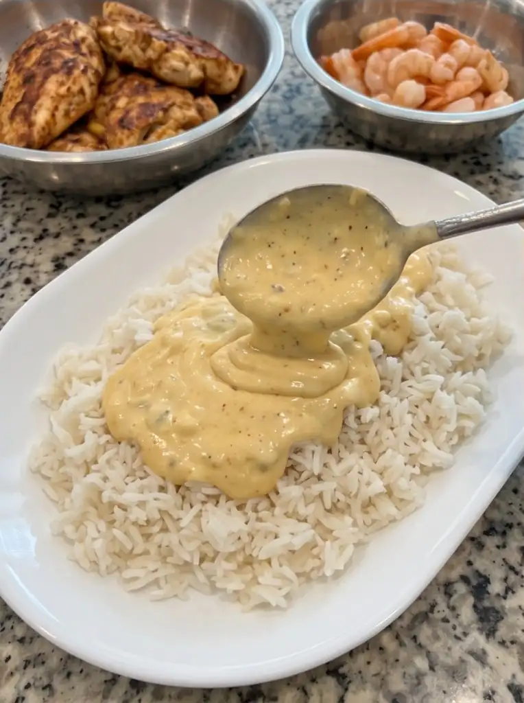 Creamy Cajun Shrimp & Chicken Rice-01